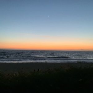 Meet your Posher, Jayden